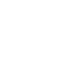 safari